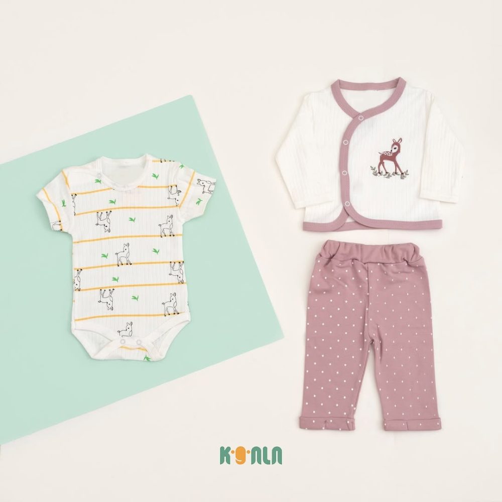 سه تیکه 3094/2