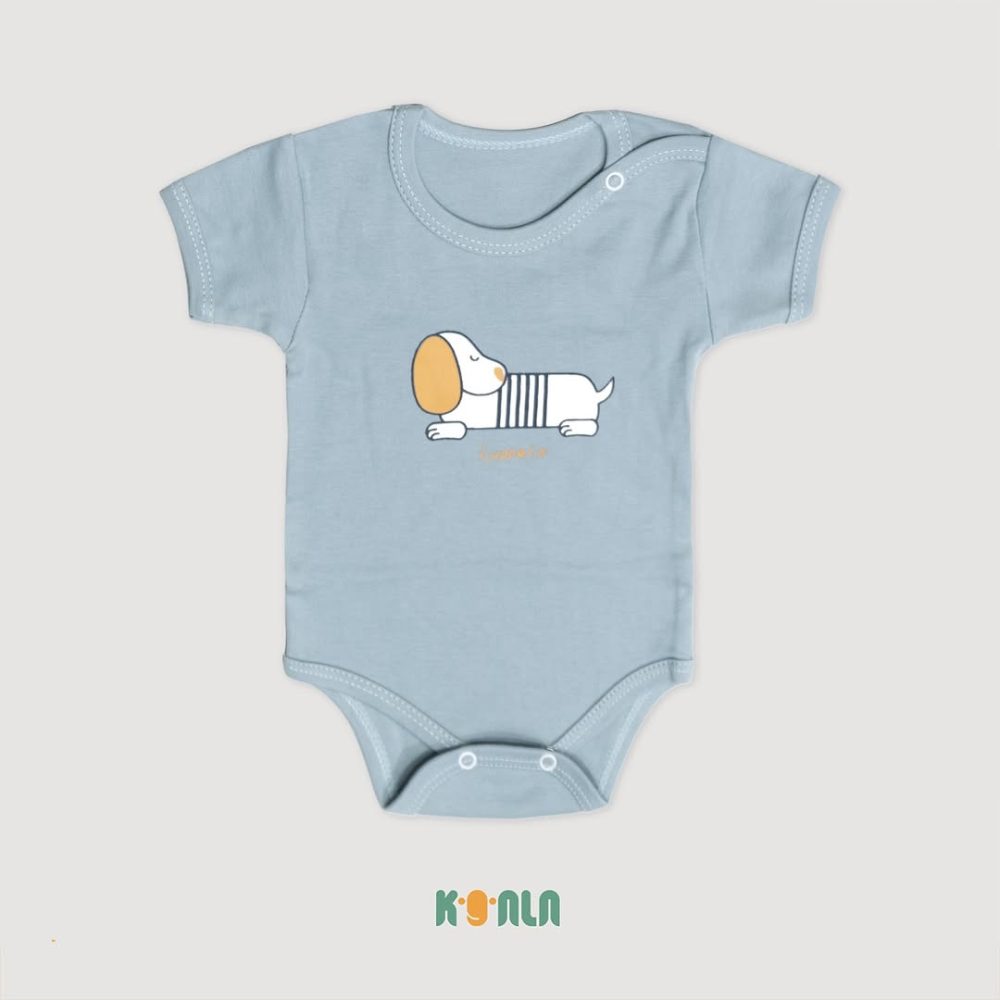 زیر کوتاه هاپو