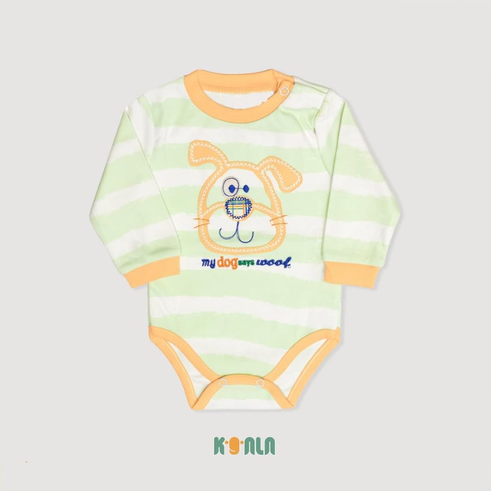 زیر بلند پاپی